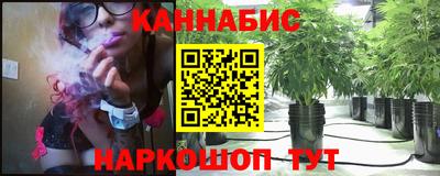 индика Ливны