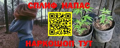 индика Ливны